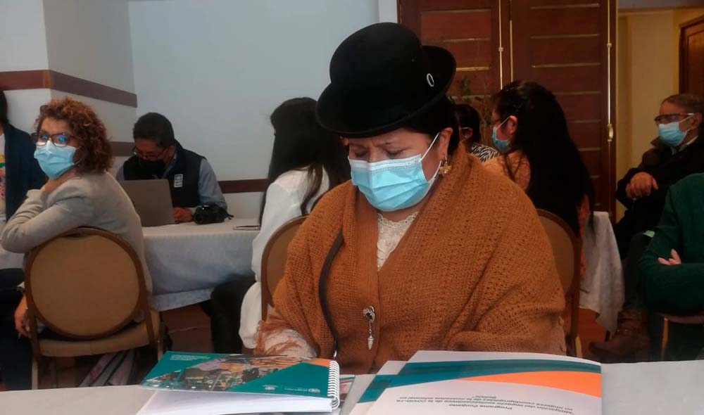 mujeres_cuentapropistas_de_la_economía_informal_en_Bolivia.jpg